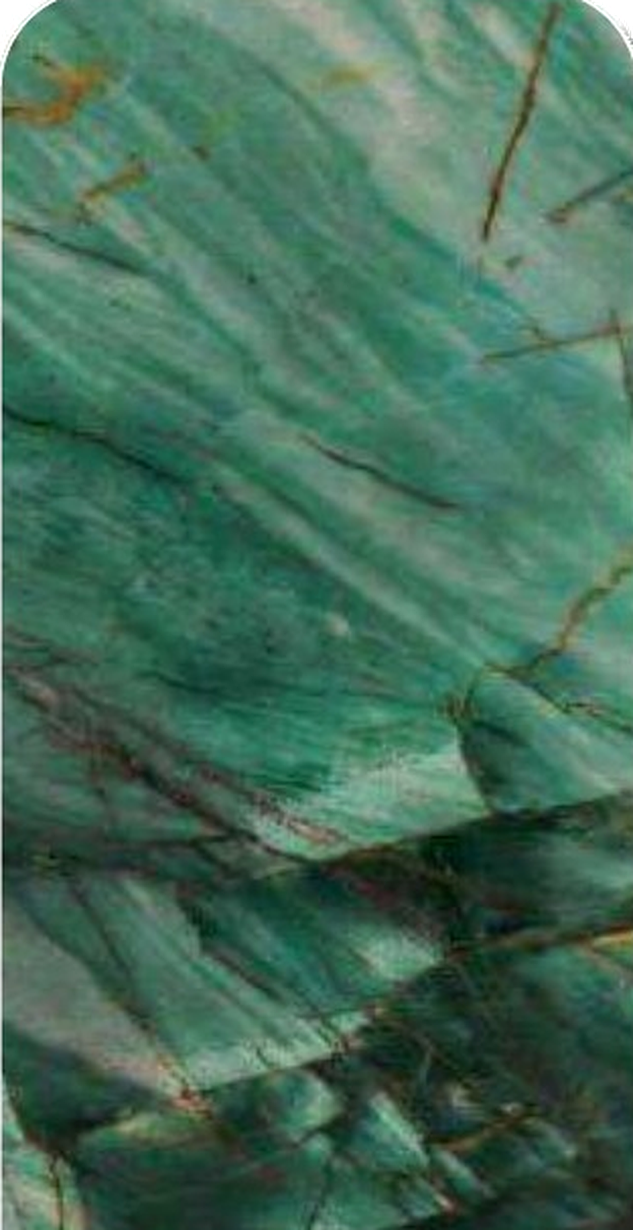 Tropical Green