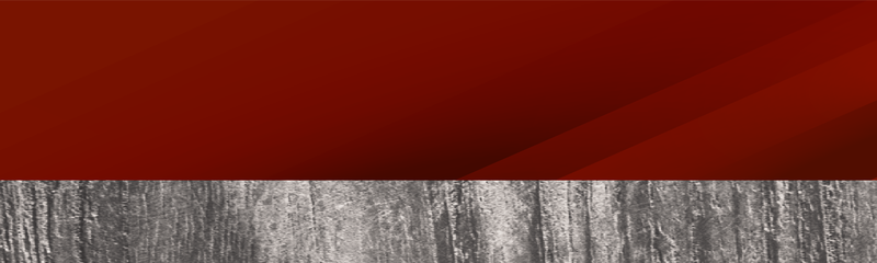 ZAGG wordless side panel graphics