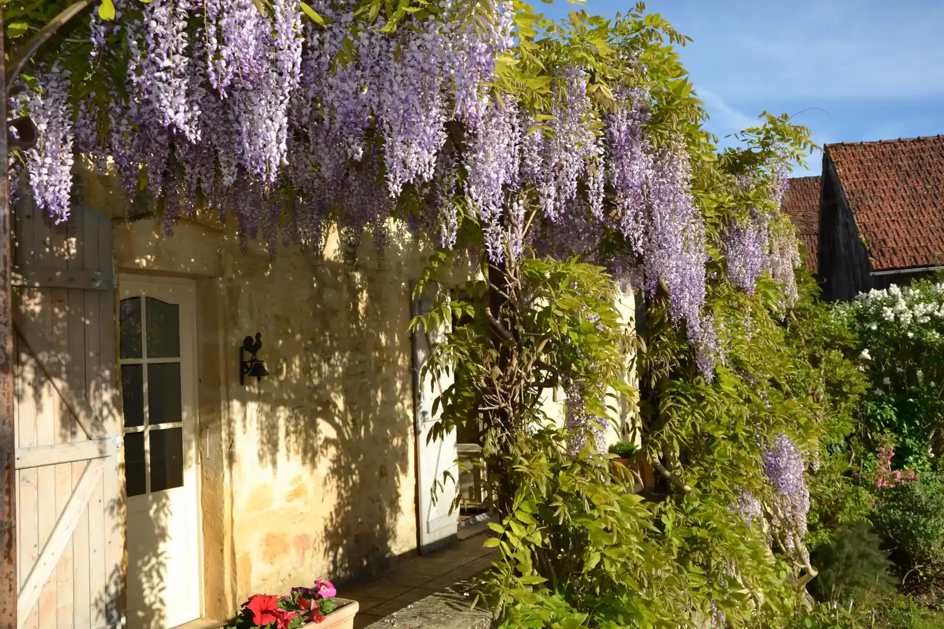 Image du gîte