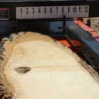 Lumber Edger Scale