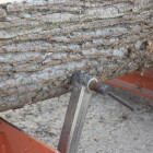 Log Clamps