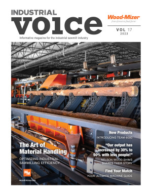 The Industrial Voice #17