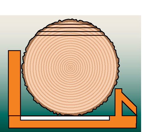 The first cuts are made across the top of the log.