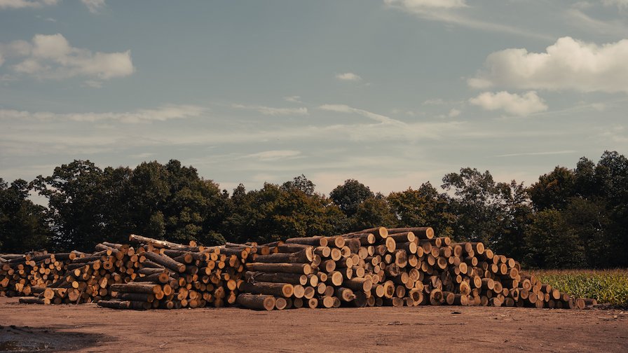 Lumber Stack 