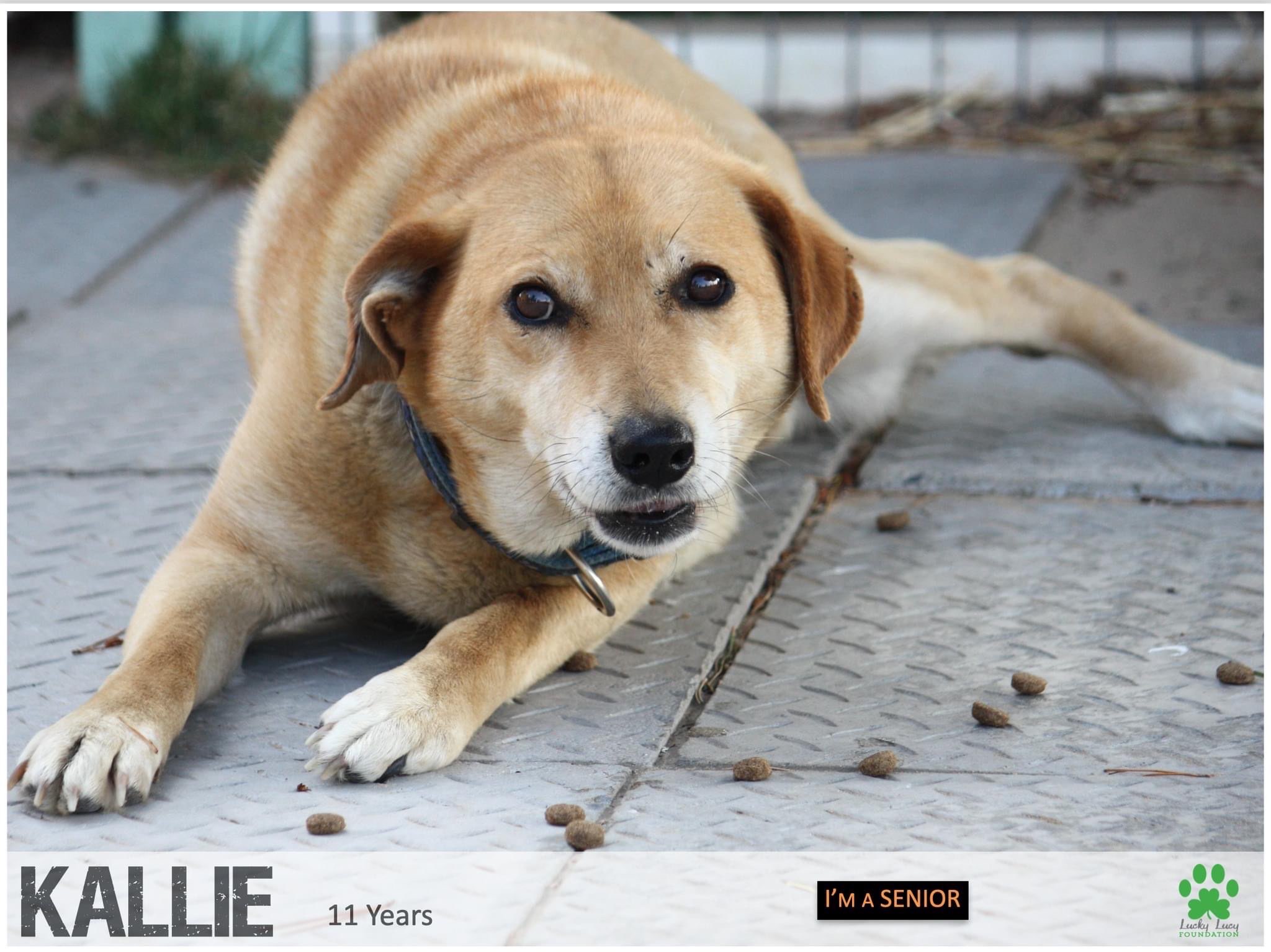 Kallie