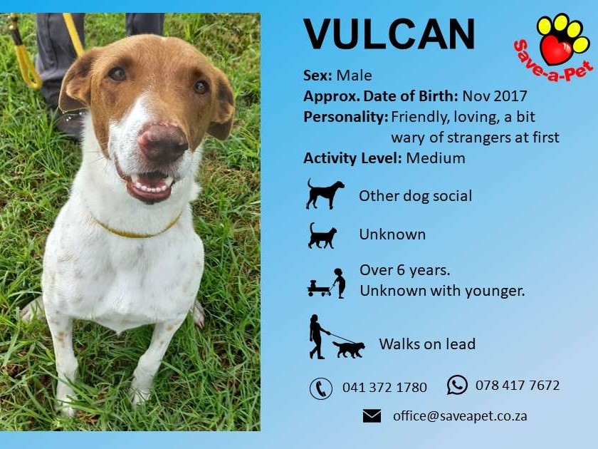 Vulcan