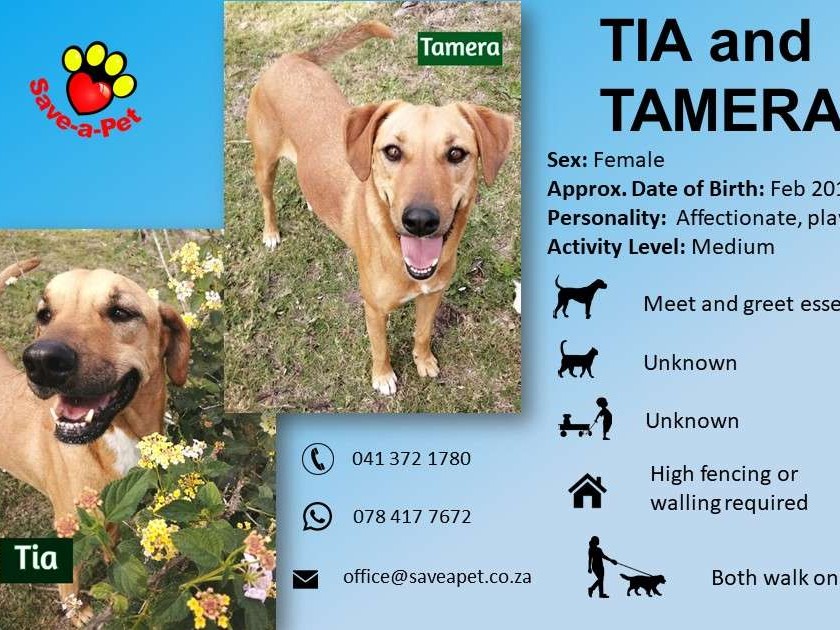 Tia/Tamera
