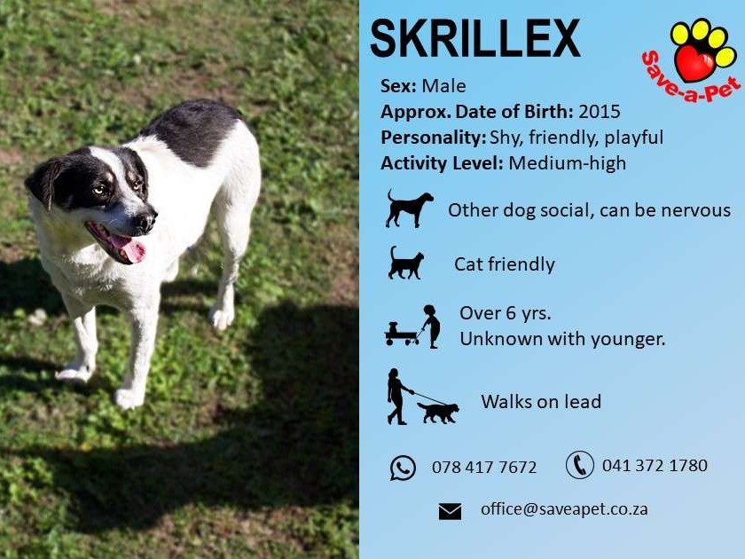 Skrillex