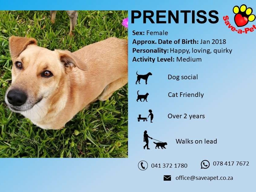 Prentiss 