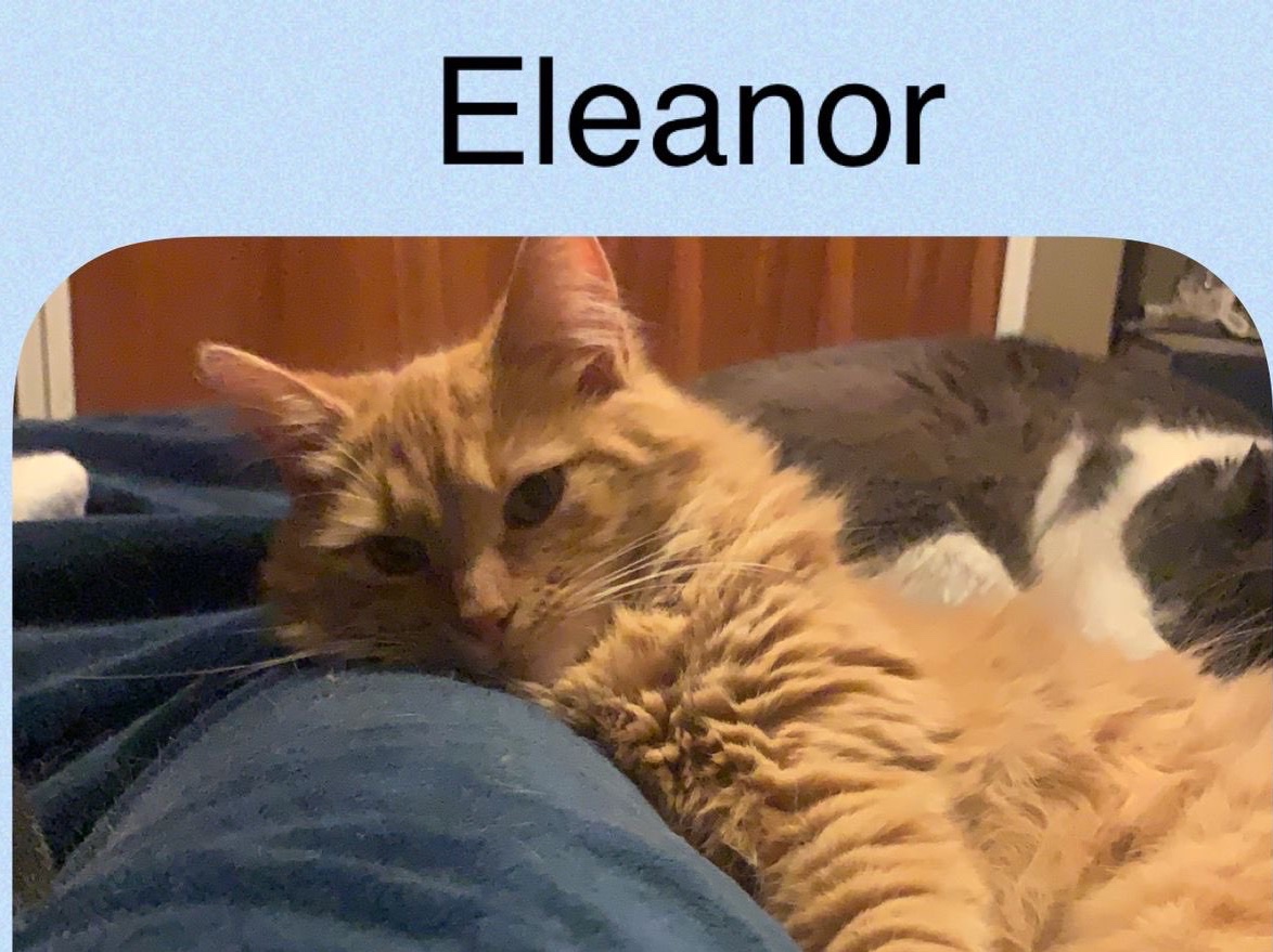Eleanor