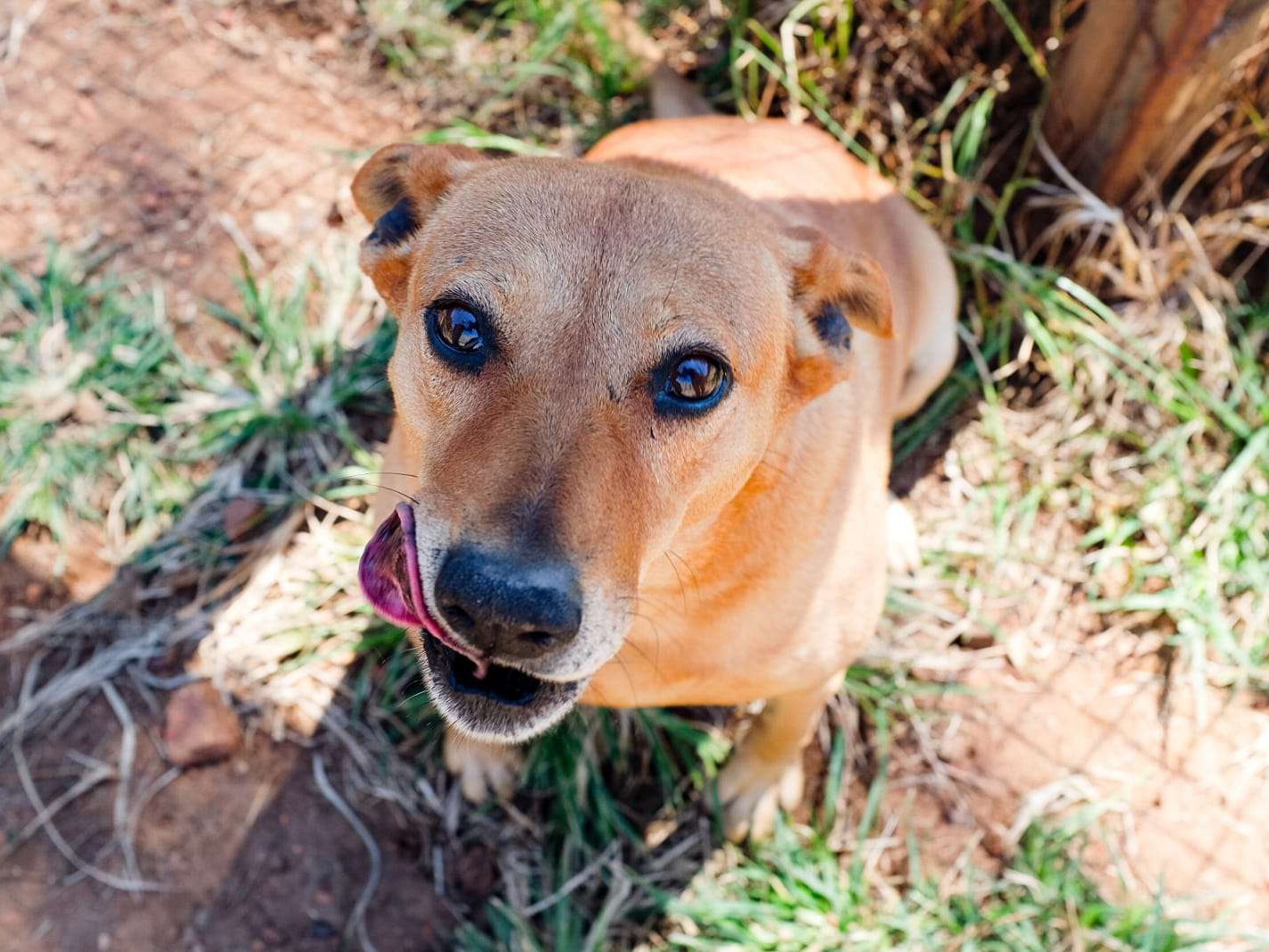 Molly
