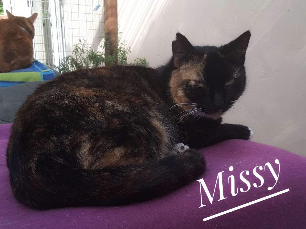 Missy