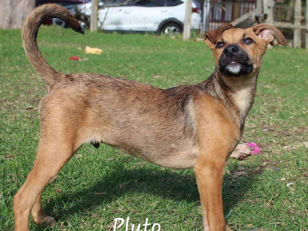Pluto