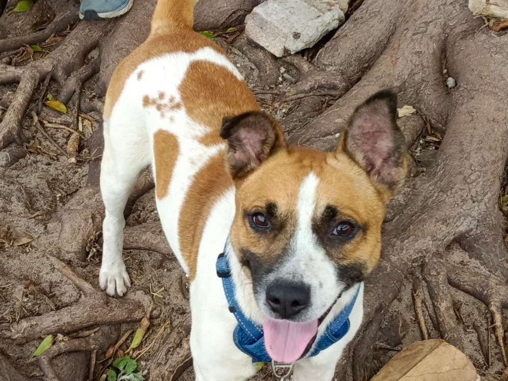 Keiko