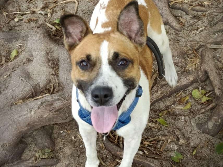 Keiko