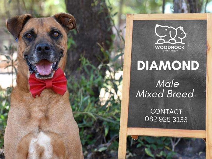 Diamond