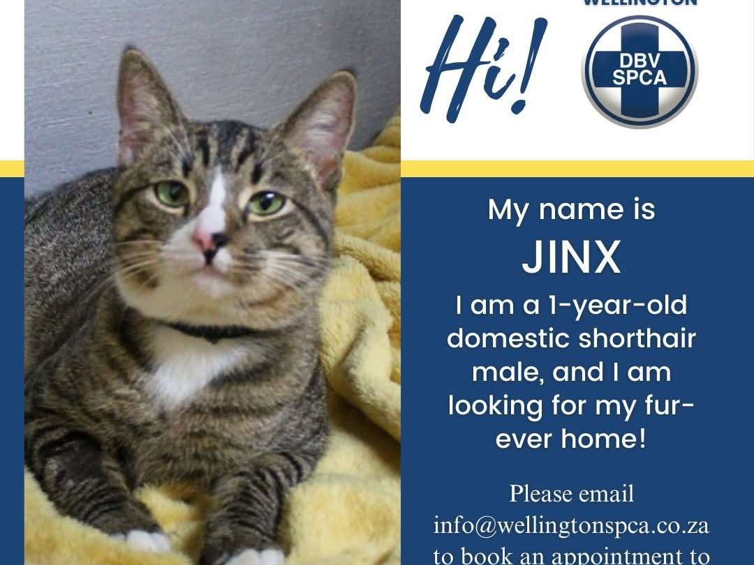 Jinx