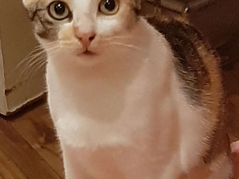 Kayllie