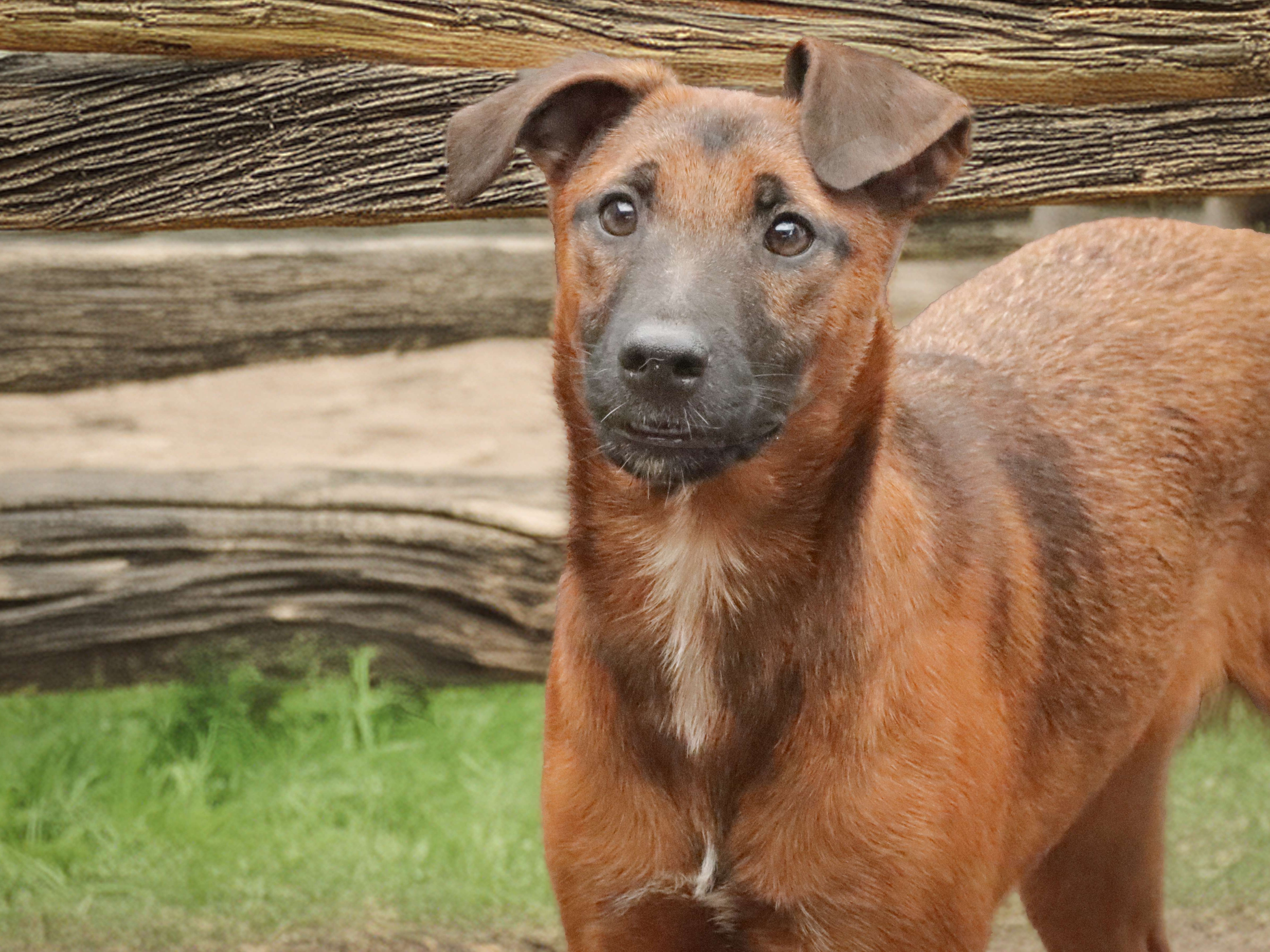 Shilo