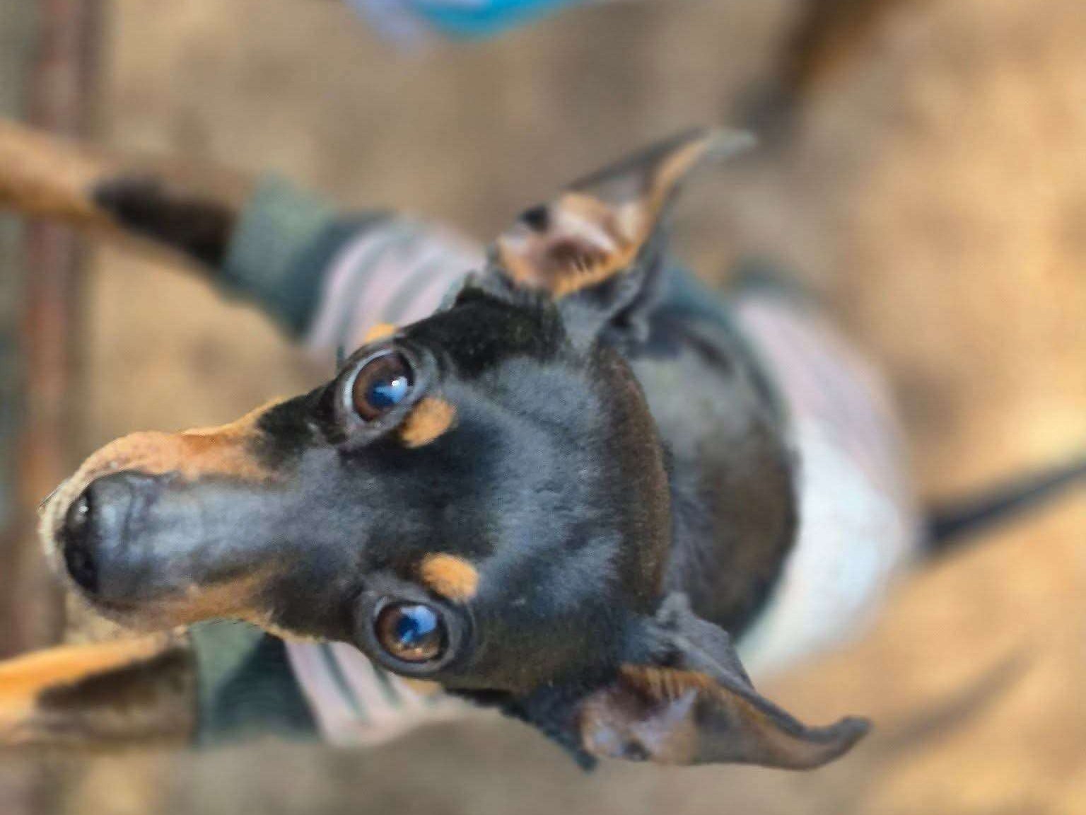 Charlie