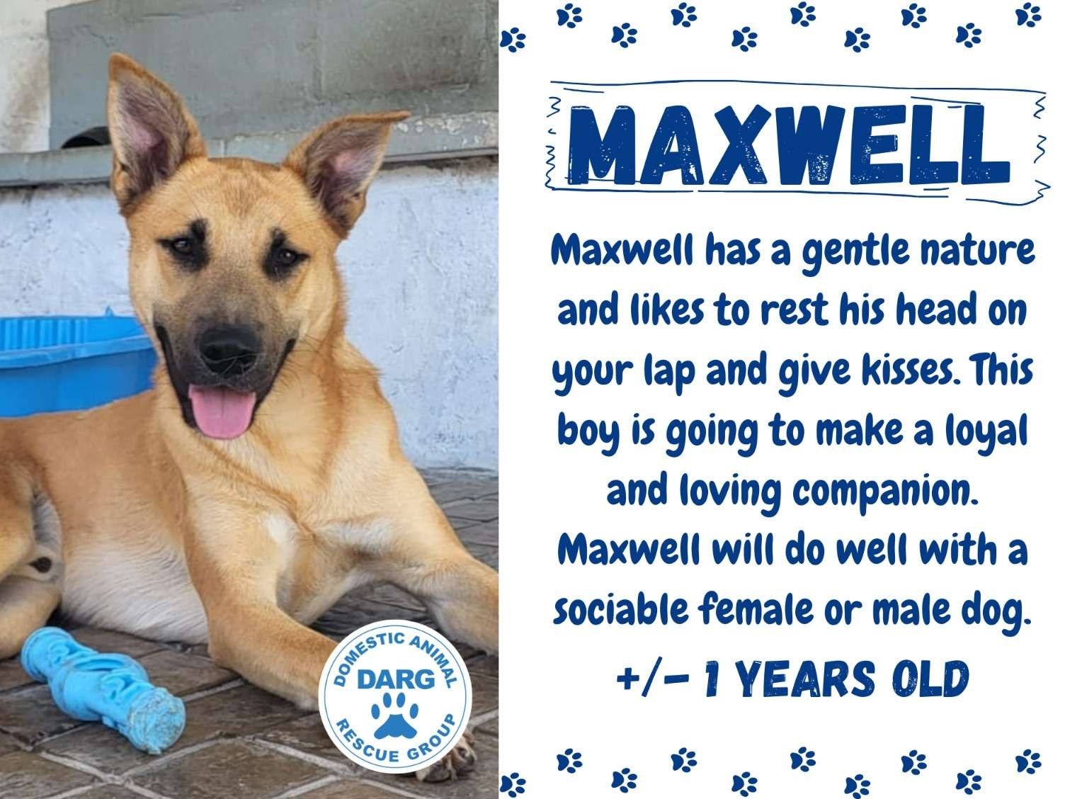 Maxwell