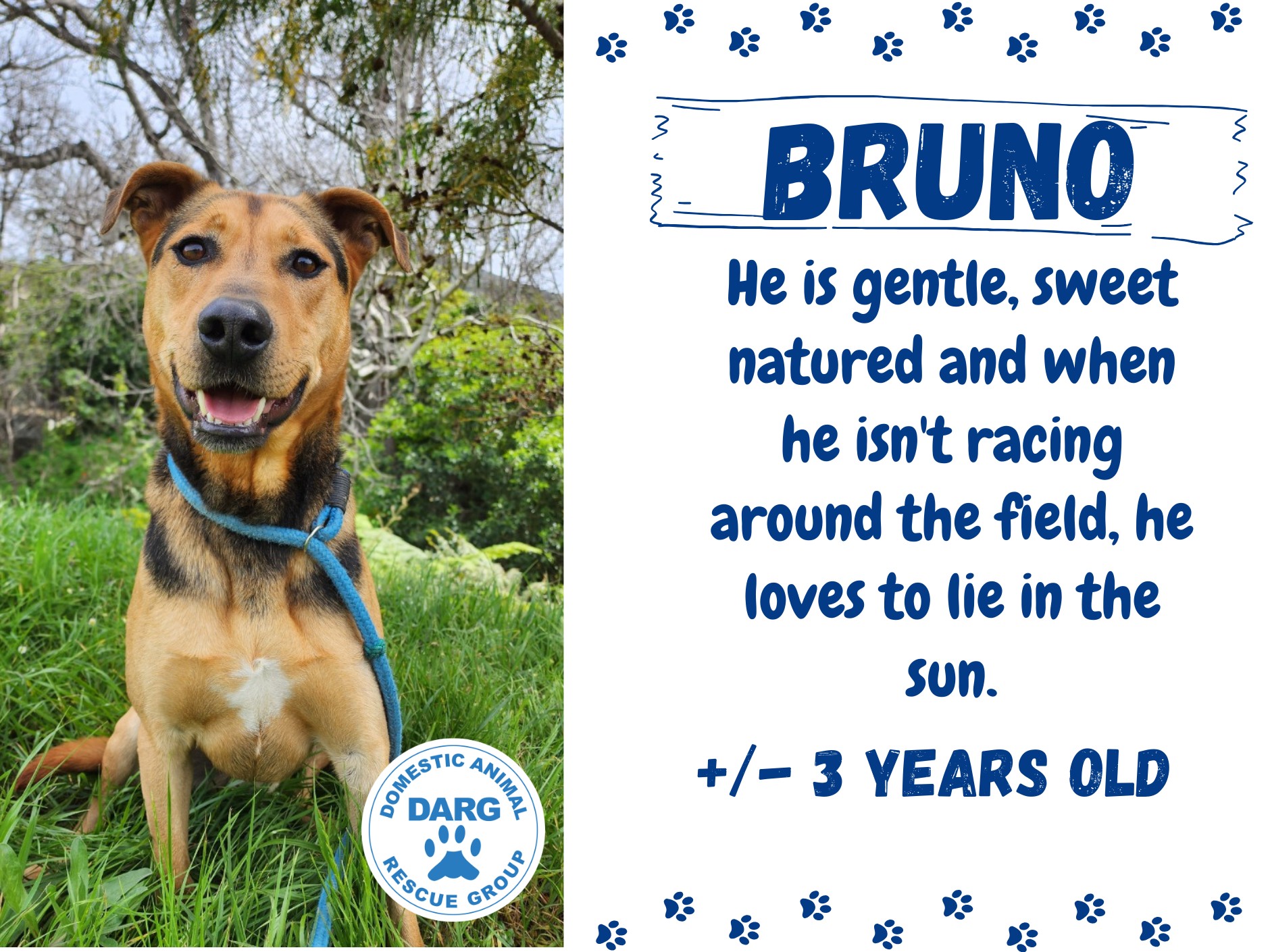 Bruno