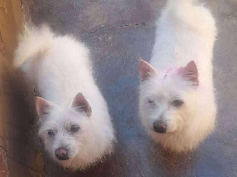 Chrissie And Charlotte