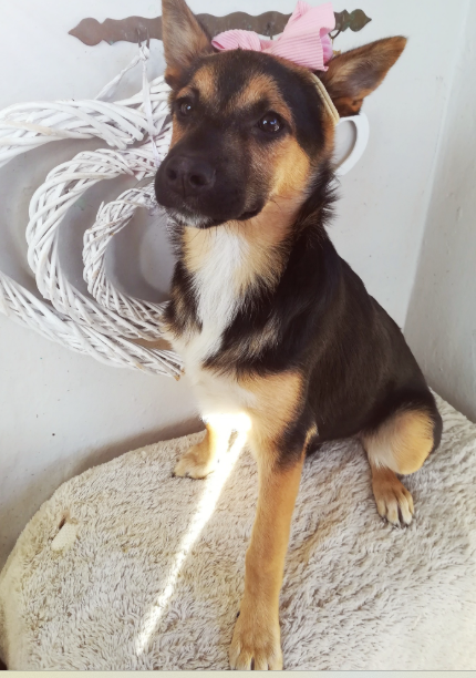 Coco