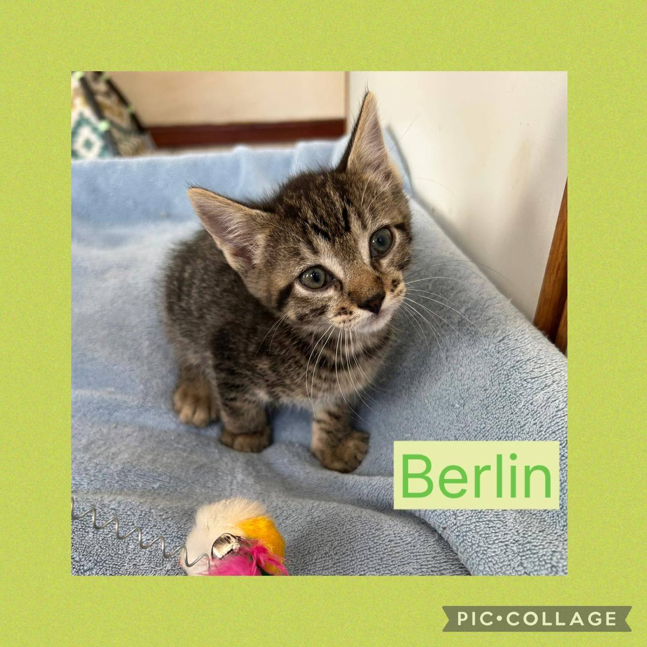 Berlin