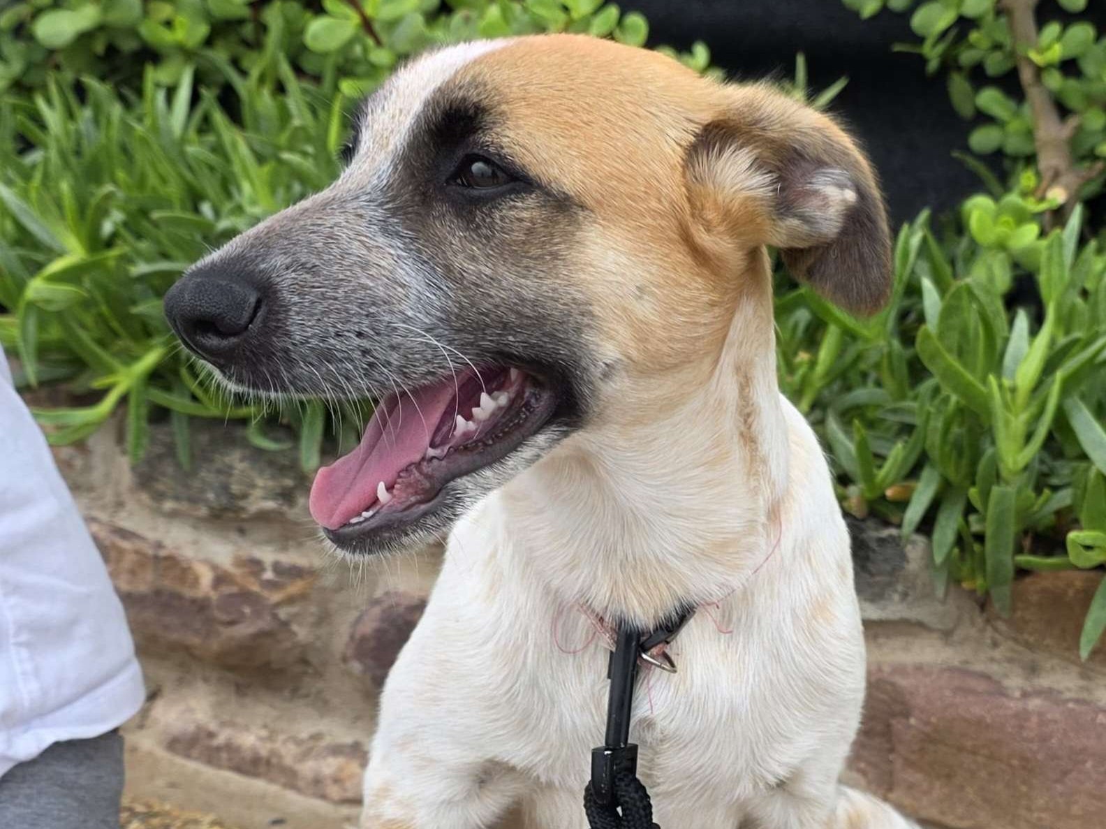 Peanut Butter & Jelly