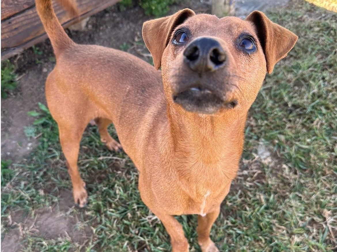 Milo