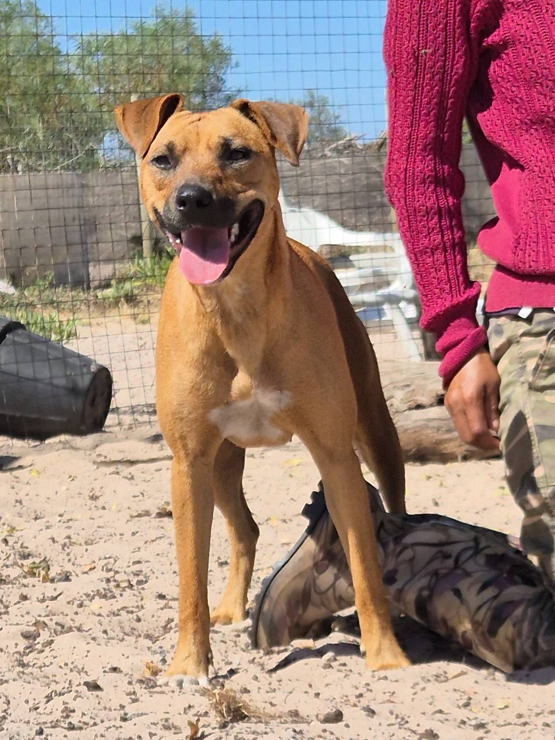Nahla