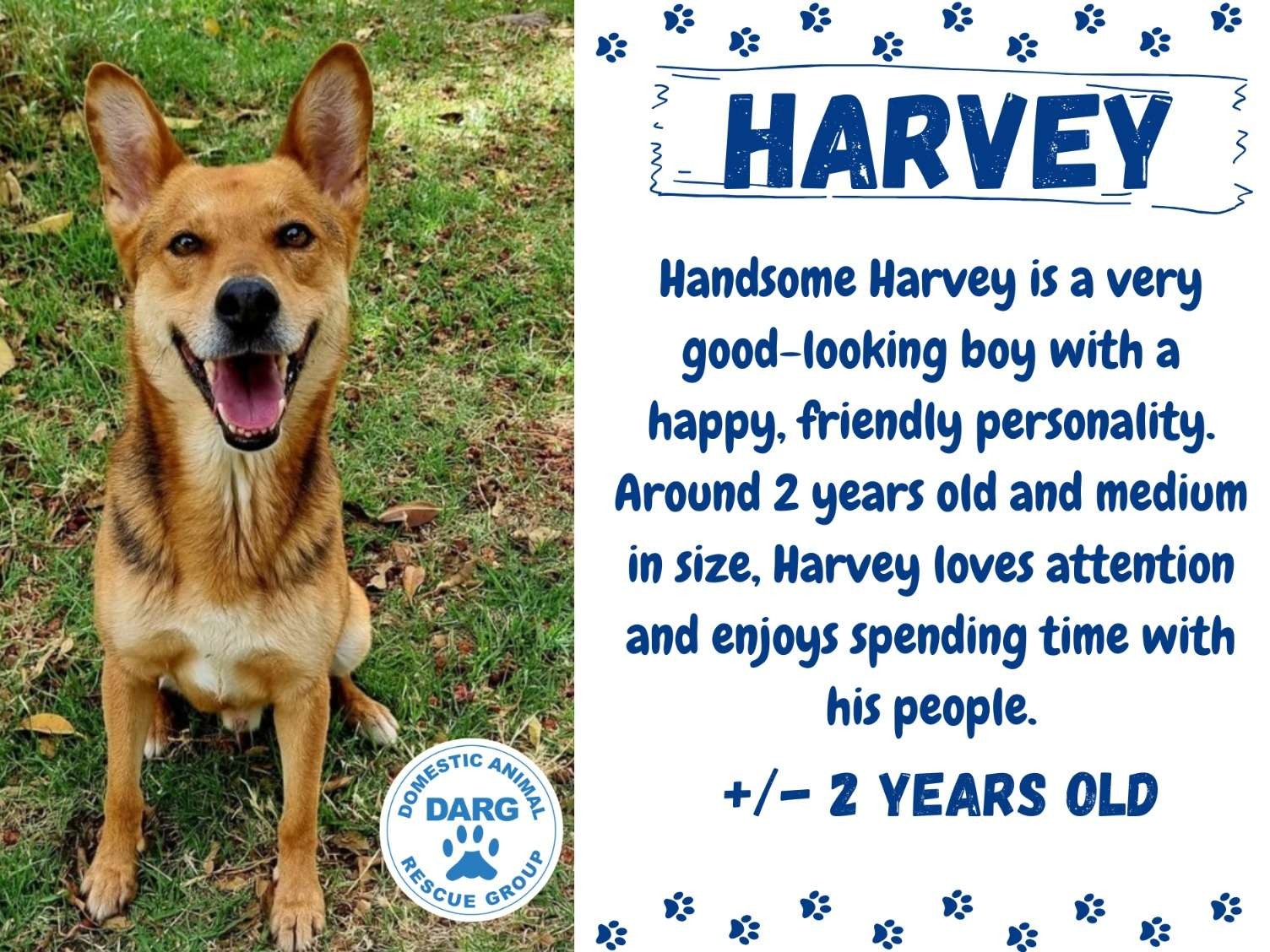 Harvey