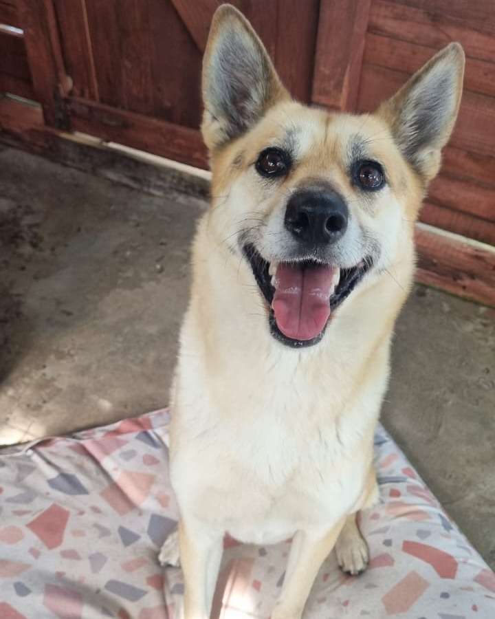 Roxy
