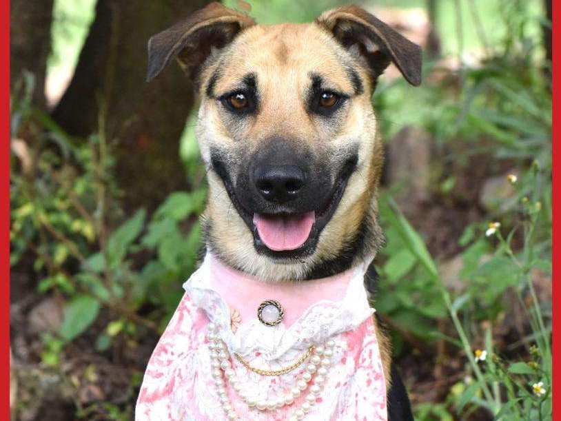 Xena