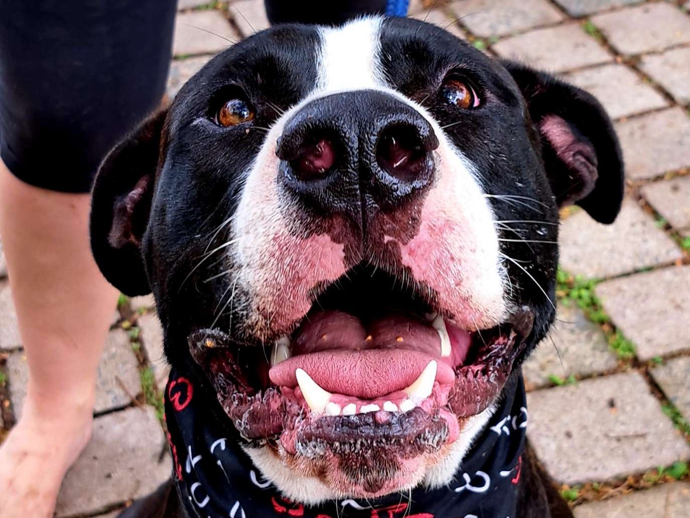Tux