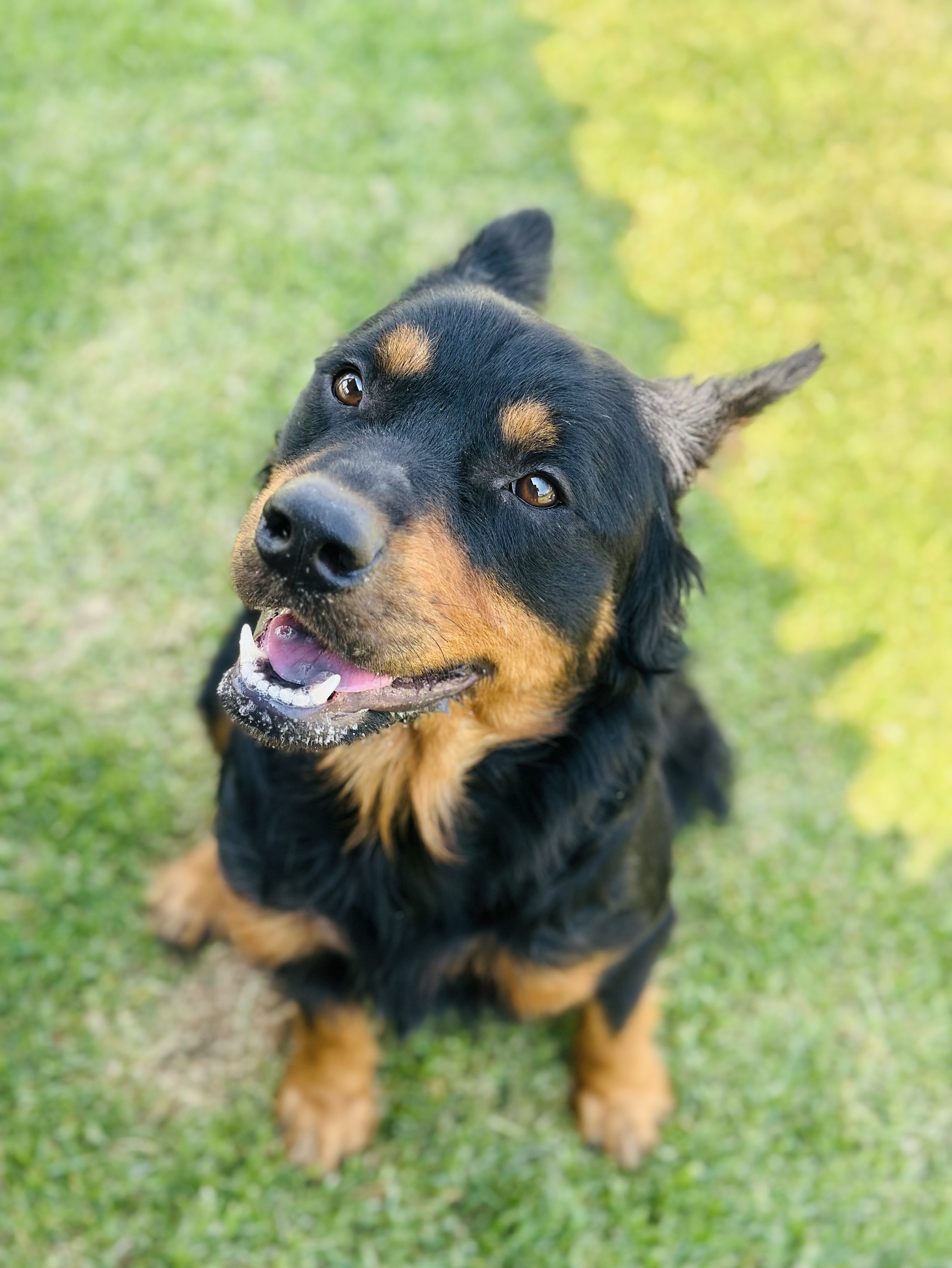 Max