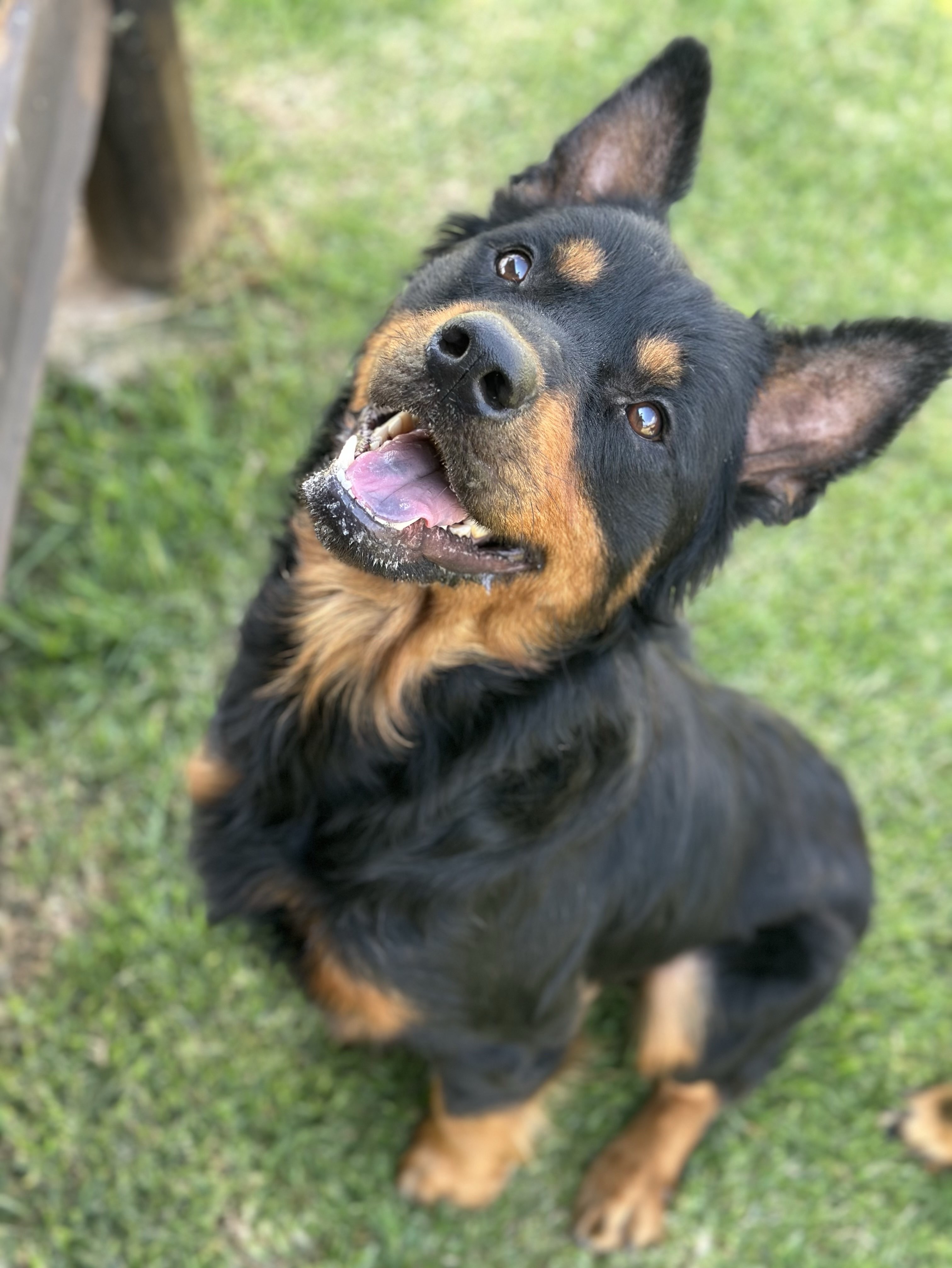 Max