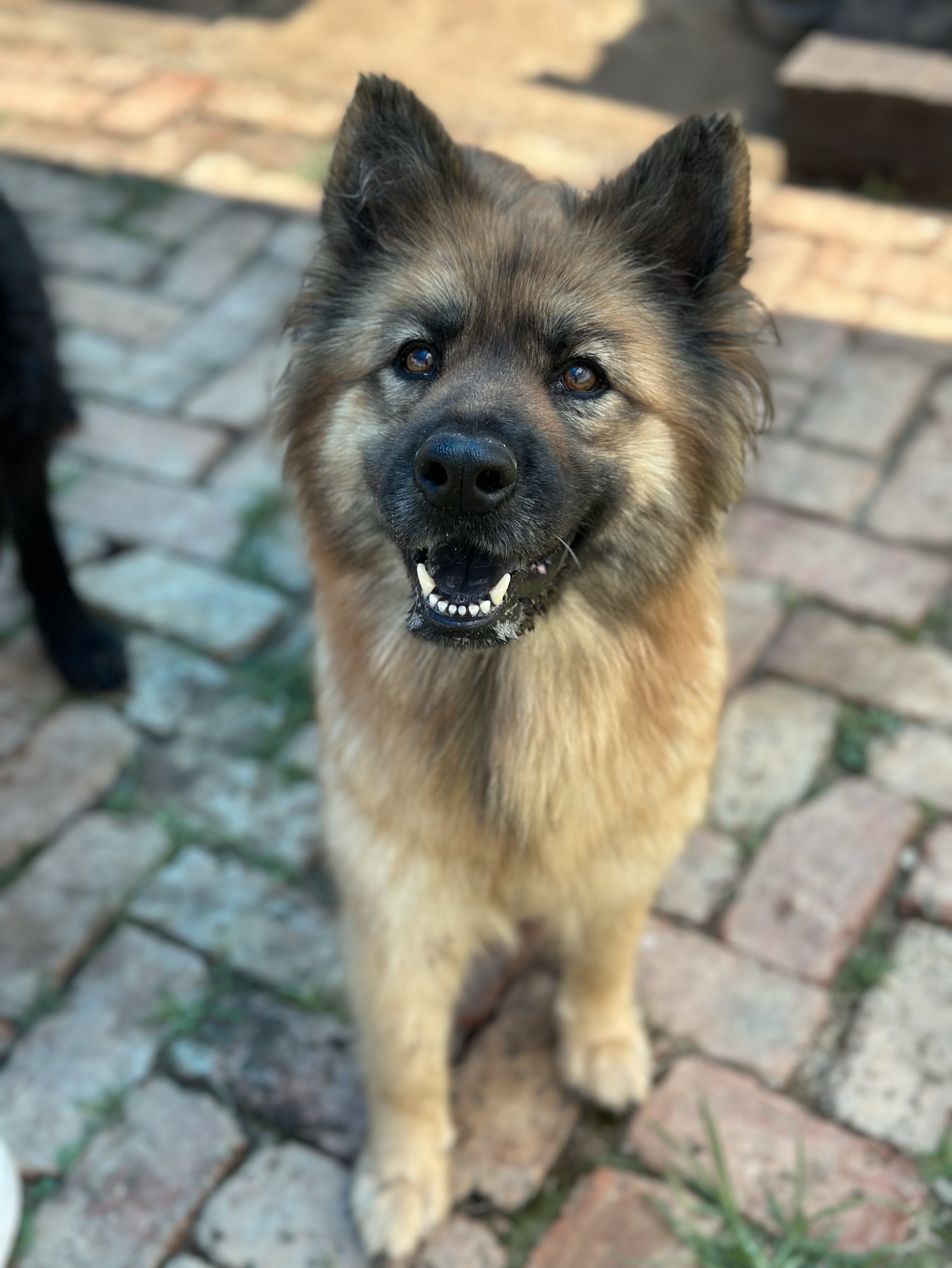 Roxy