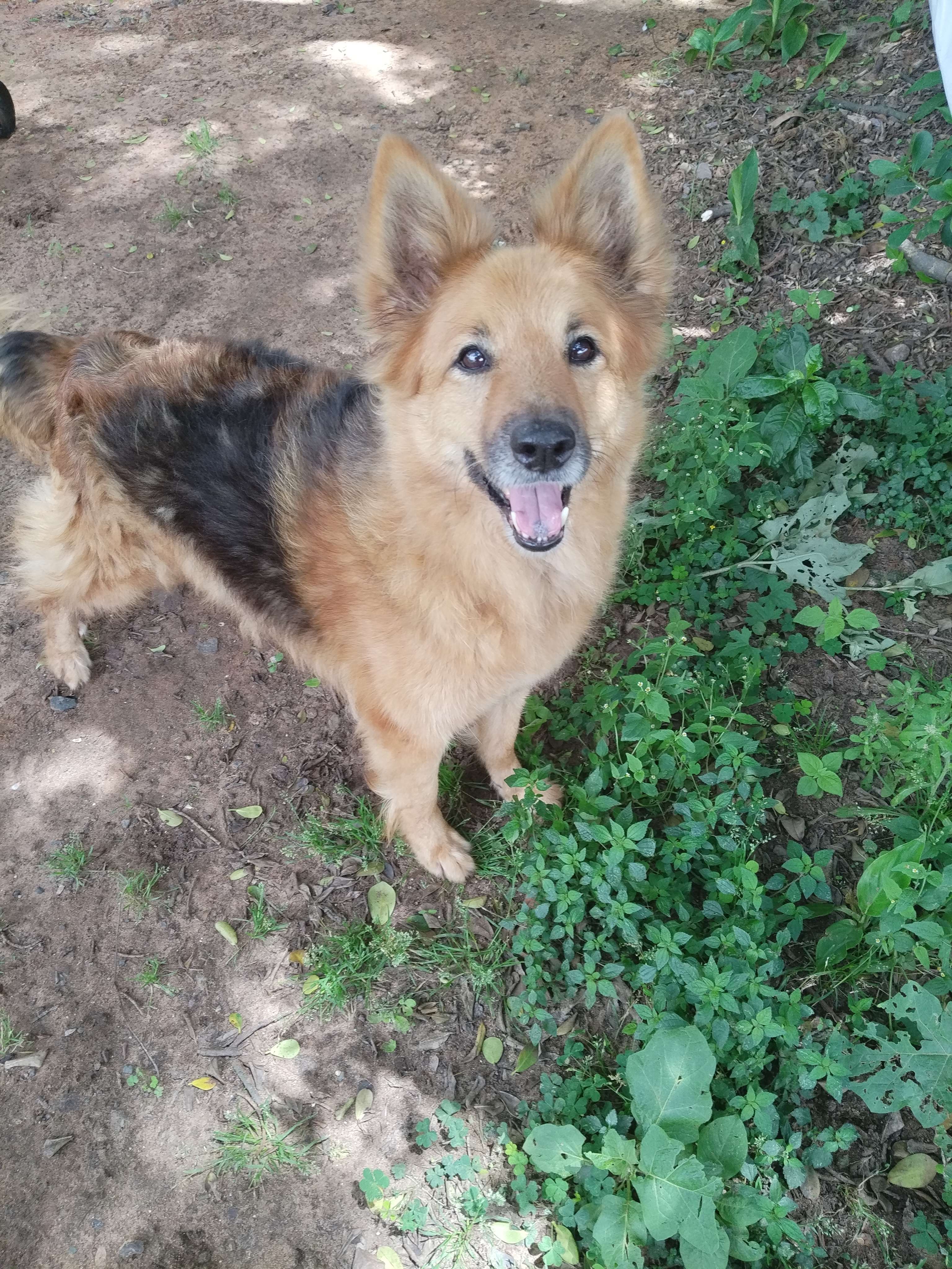 Chloe 