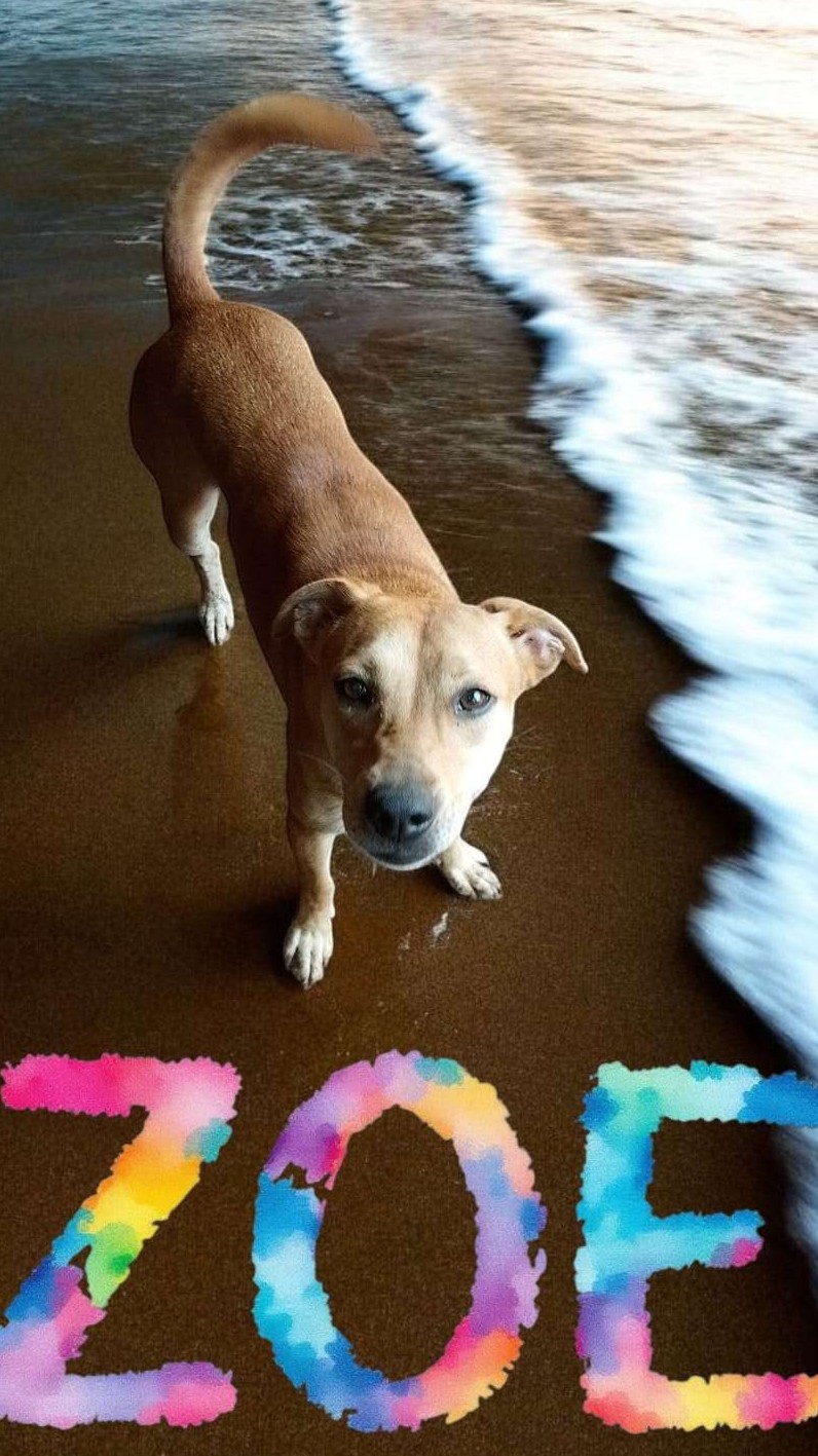 Zoe 