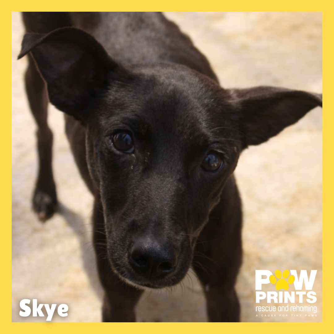 Skye