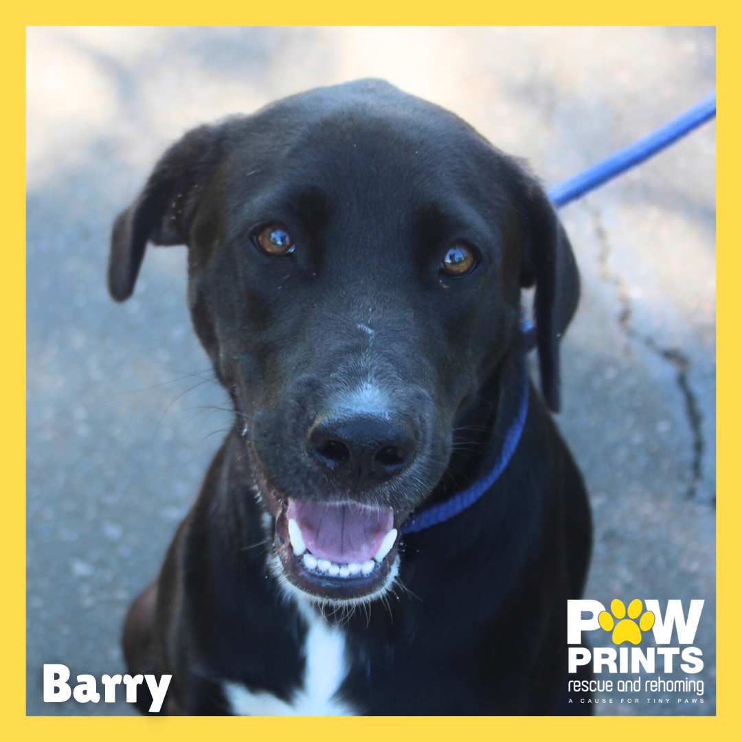 Barry 