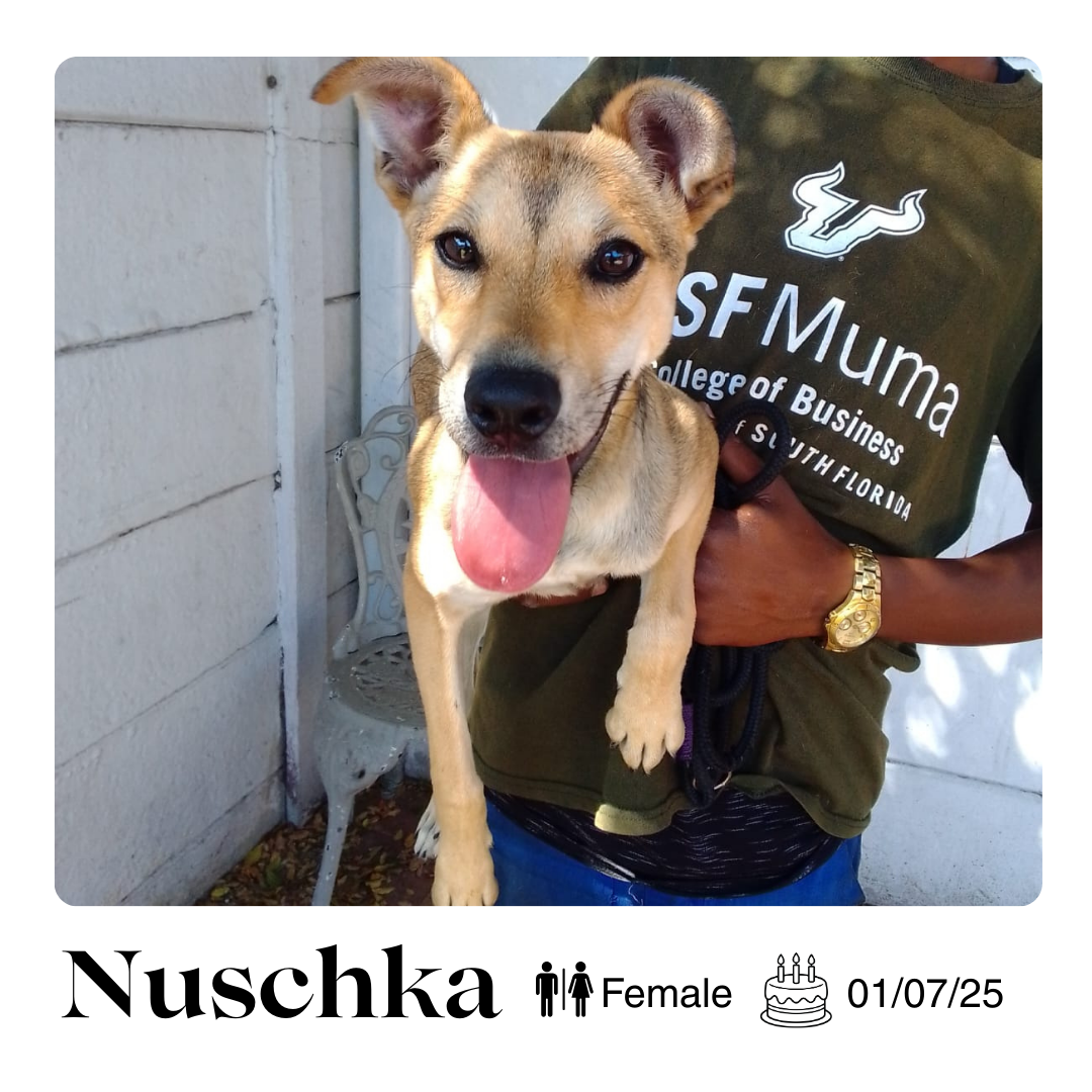 Nuschka