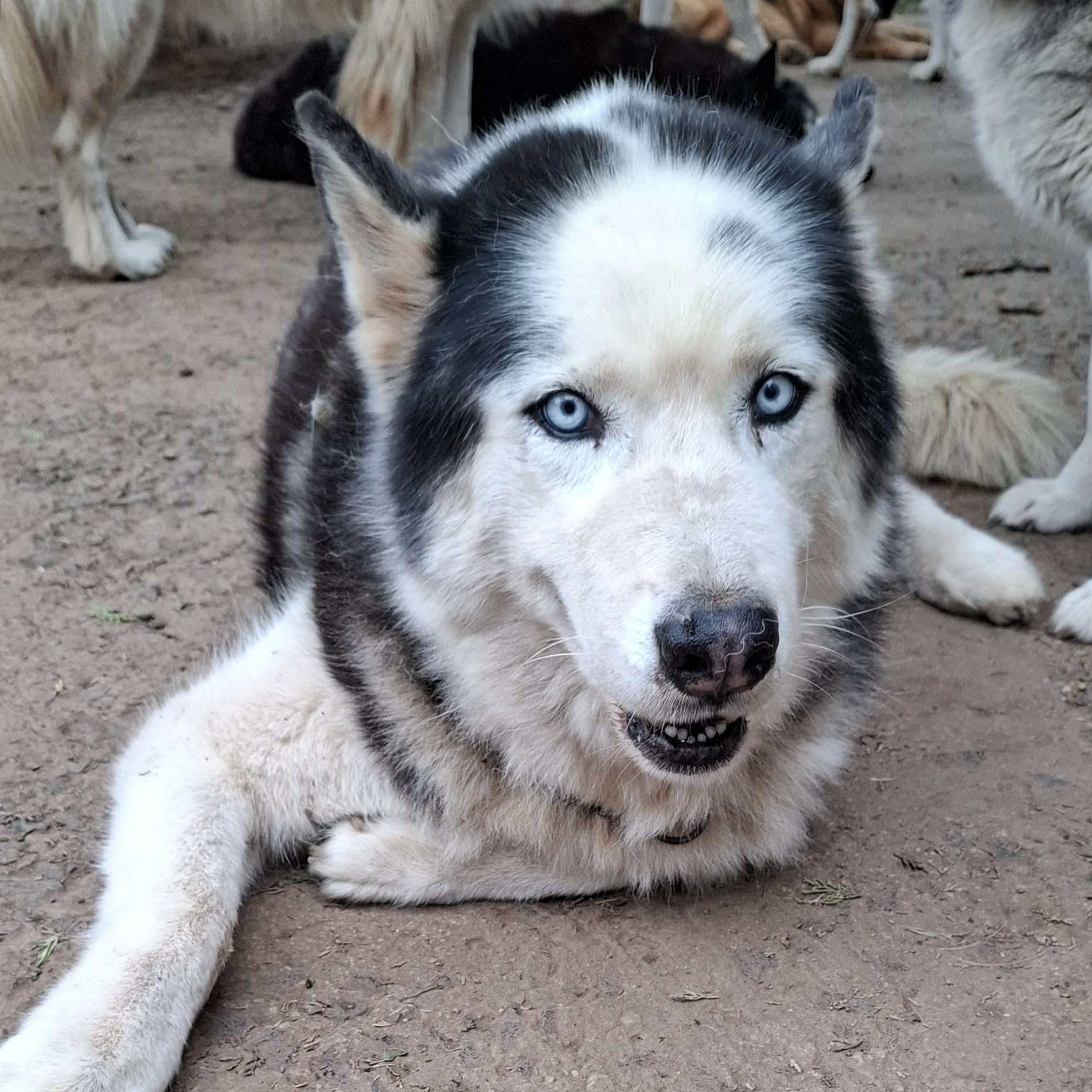 Diego