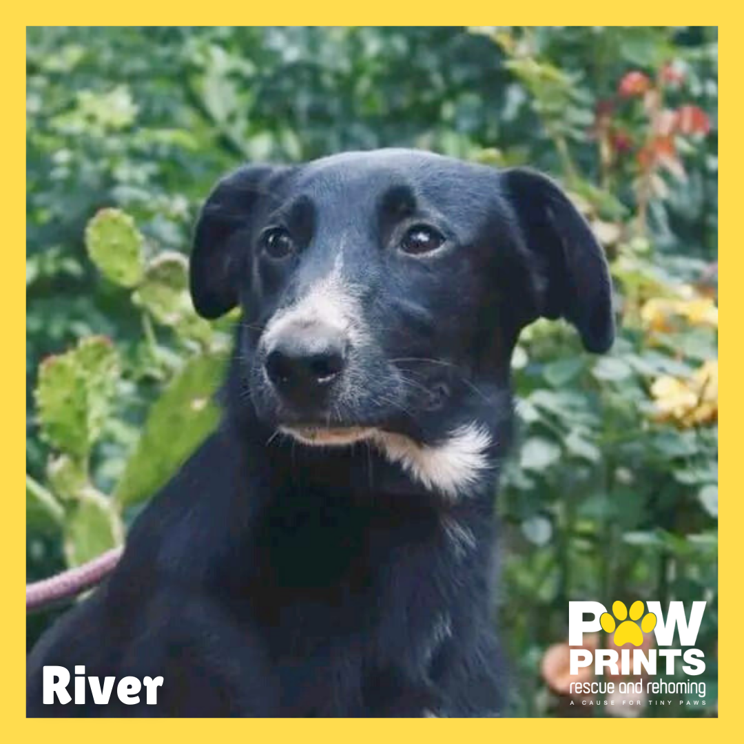 River