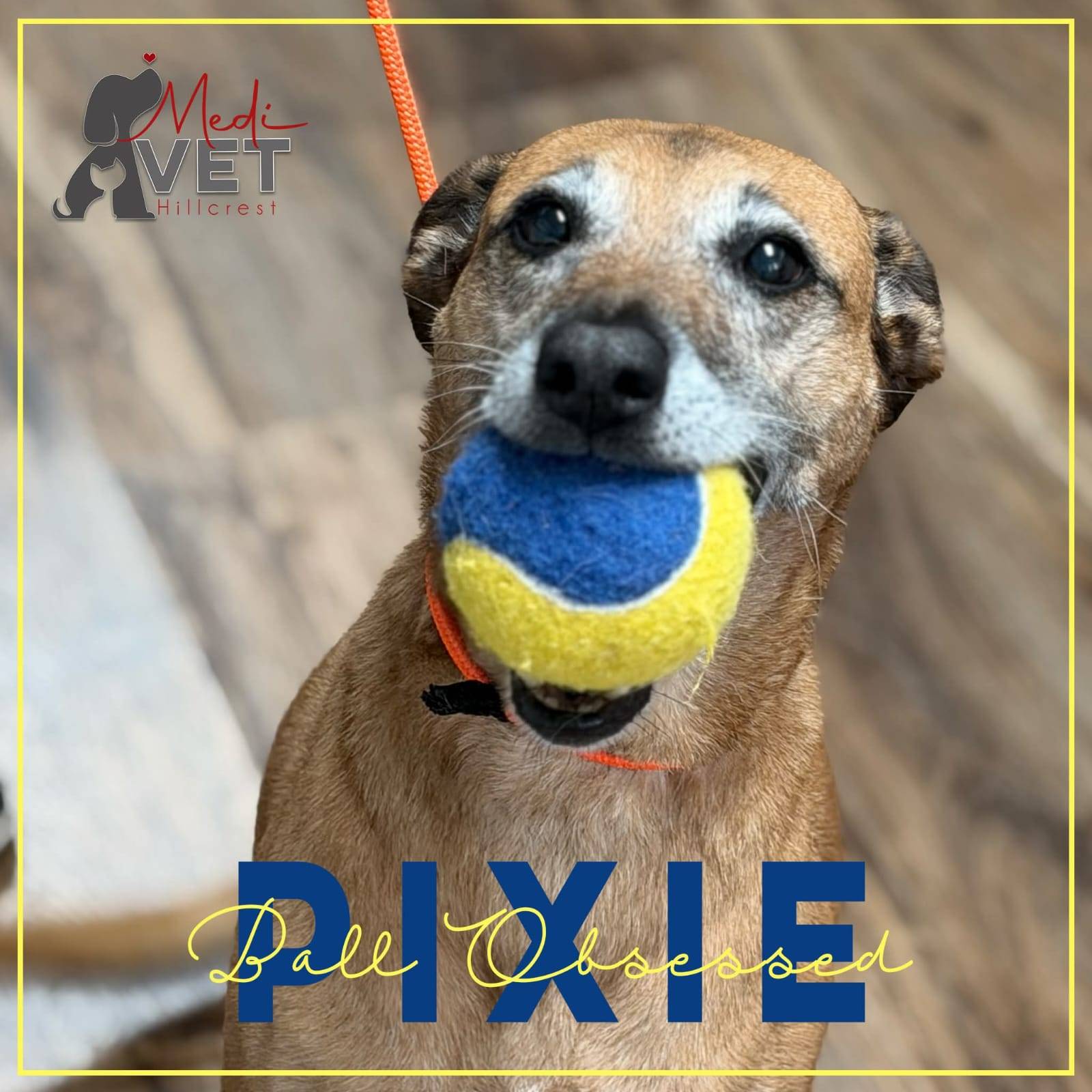 Pixie 