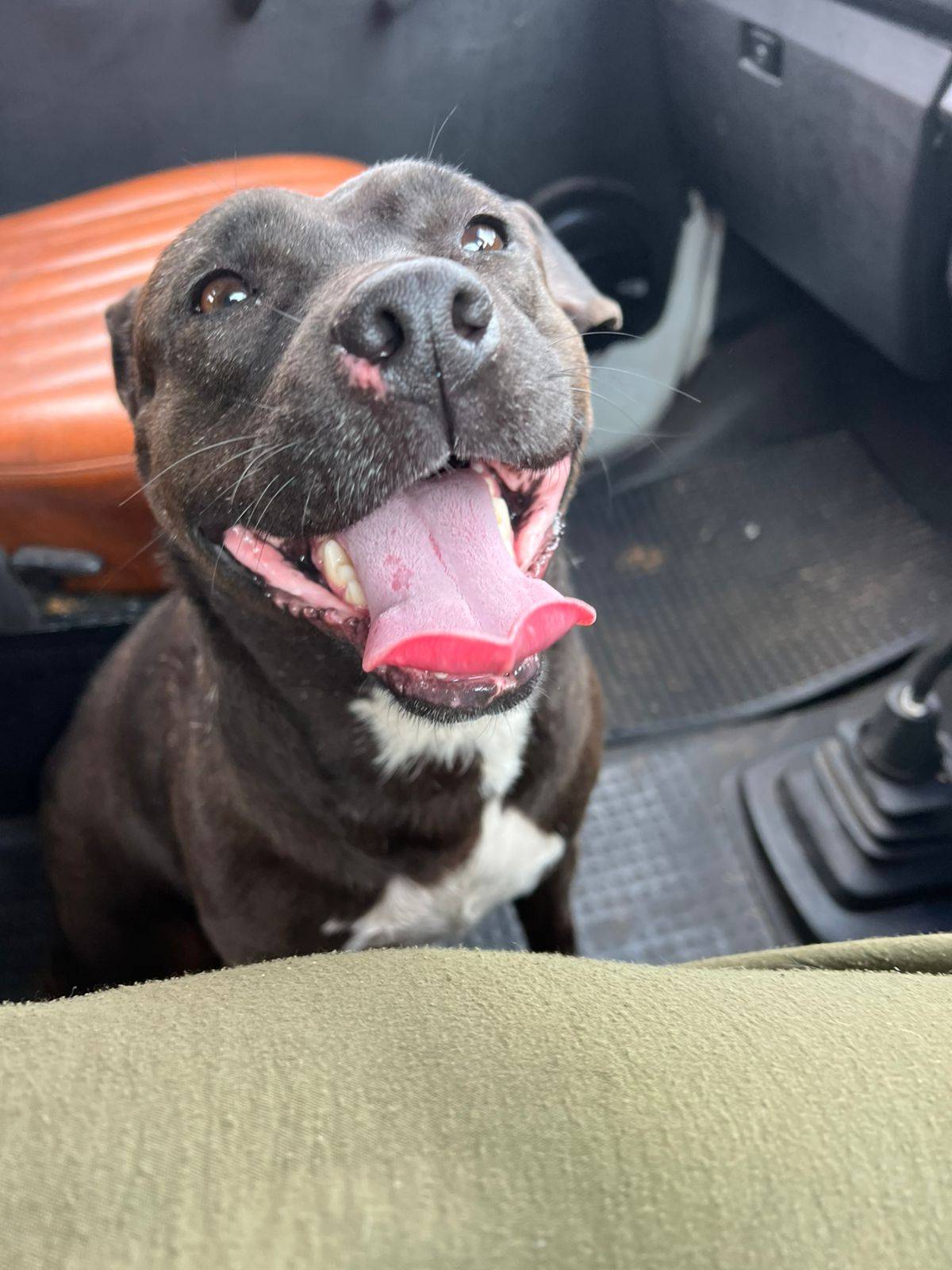 Luna