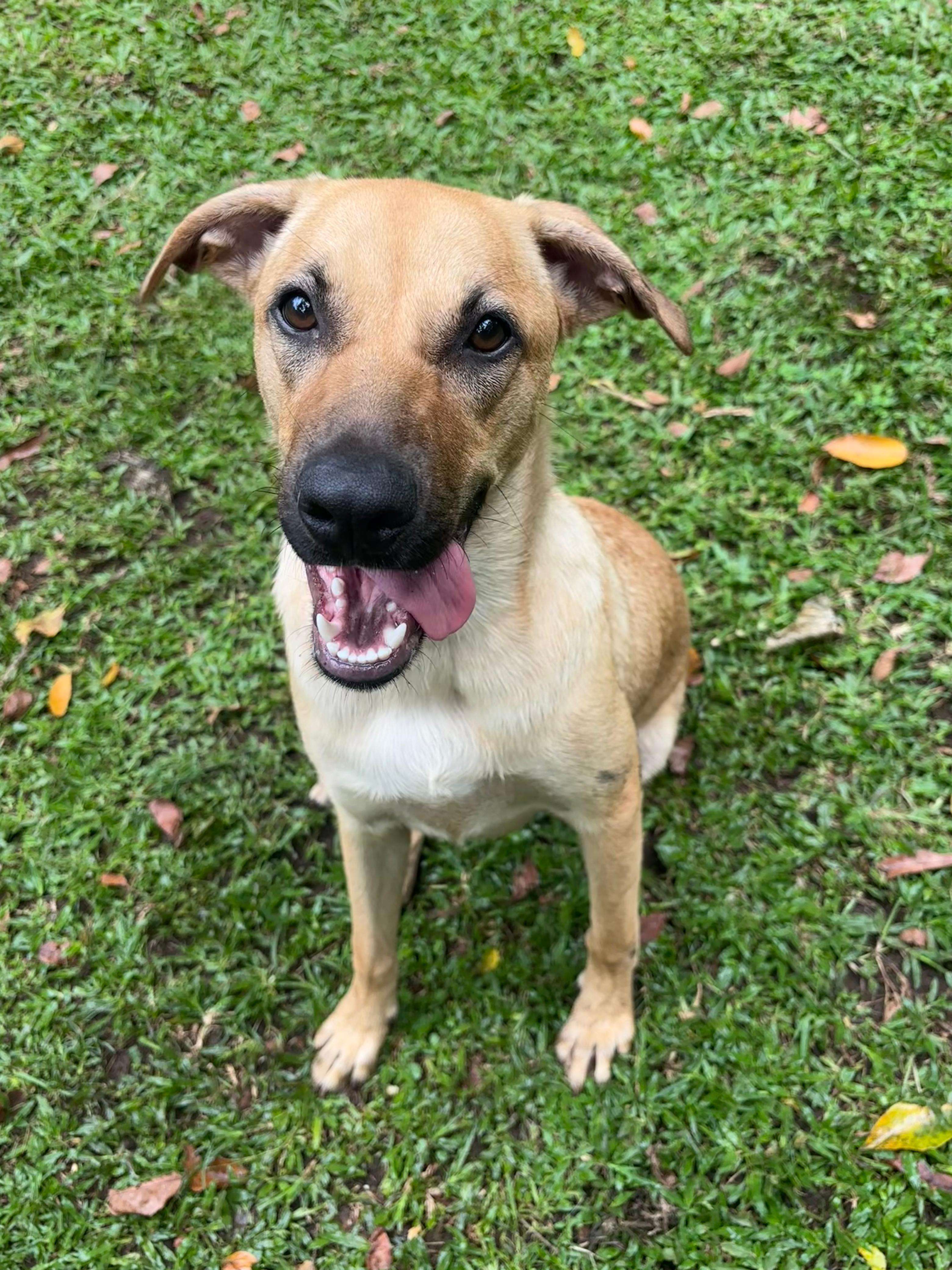 Coco