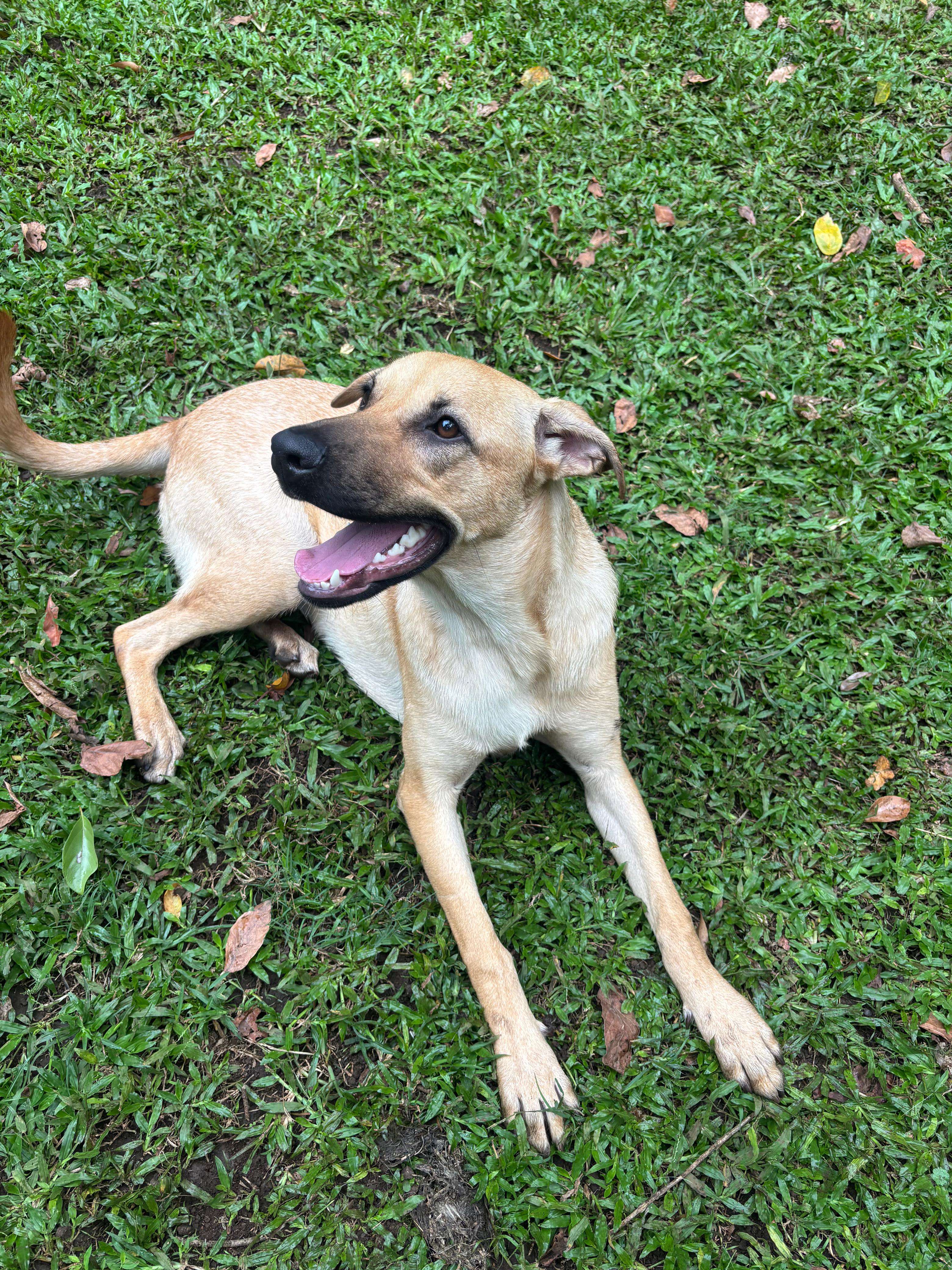 Coco